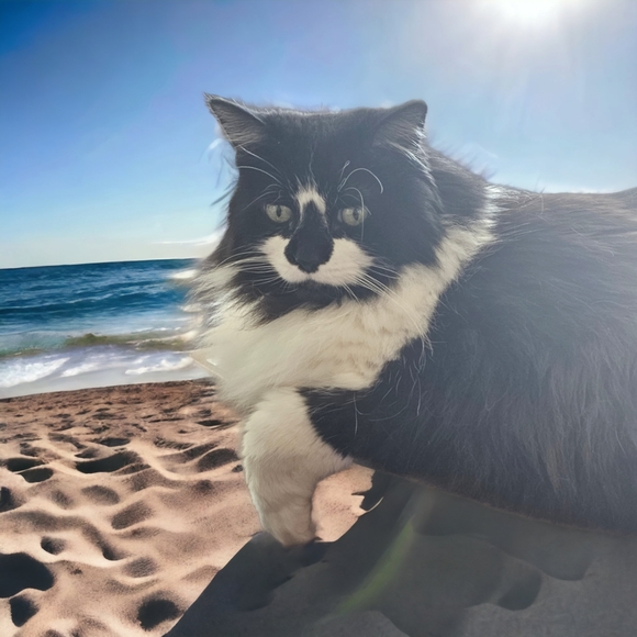 Meet your Posher, Erin - Picture 2 of 3